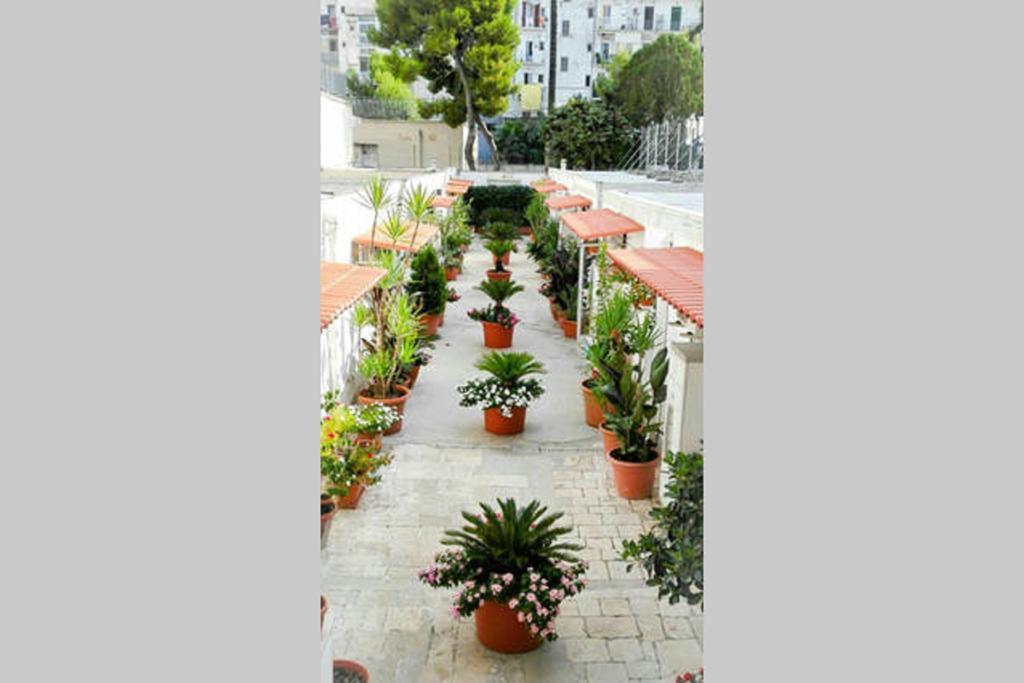 Apartament Al Cortile Bari Zewnętrze zdjęcie